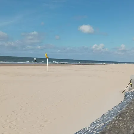 아파트 Frontaal Zeezicht In De Strandjutter *