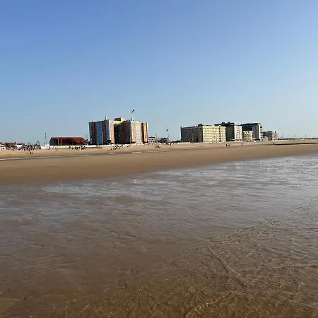 Apartamento Frontaal Zeezicht In De Strandjutter *