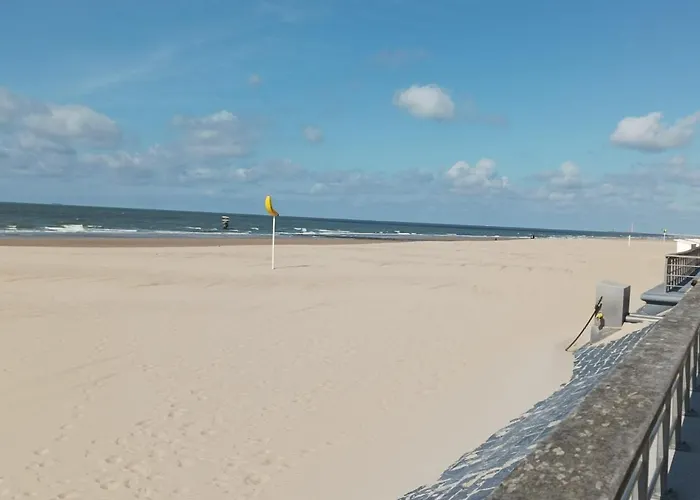 Apartment Frontaal Zeezicht In De Strandjutter *