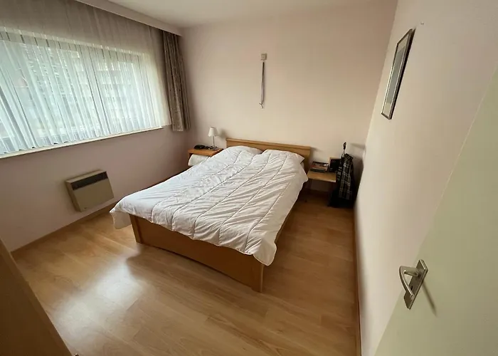 Frontaal Zeezicht In De Strandjutter