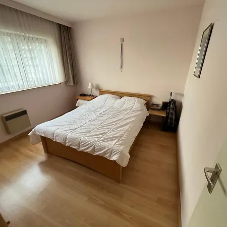 Frontaal Zeezicht In De Strandjutter