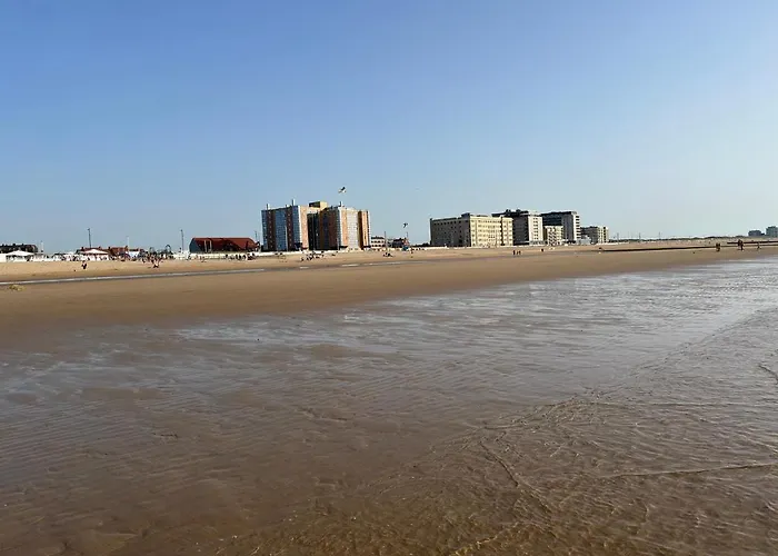 Lejlighed Frontaal Zeezicht In De Strandjutter *